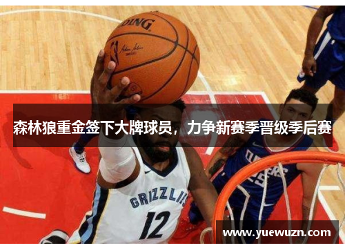 森林狼重金签下大牌球员，力争新赛季晋级季后赛